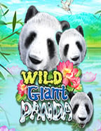 เกมส์สล็อต ได้เงินจริงไหม: สูตรการเล่นที่ได้ผล